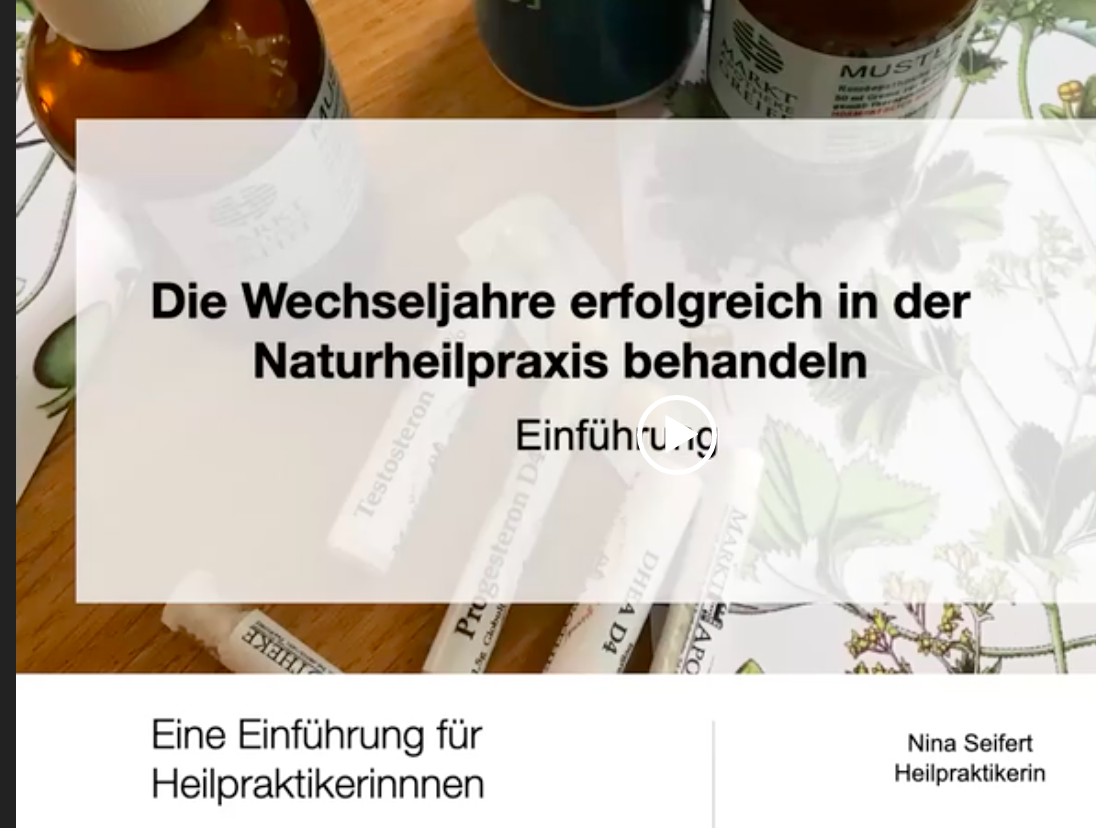 Bildschirmfoto 2023-04-02 um 07.26.52